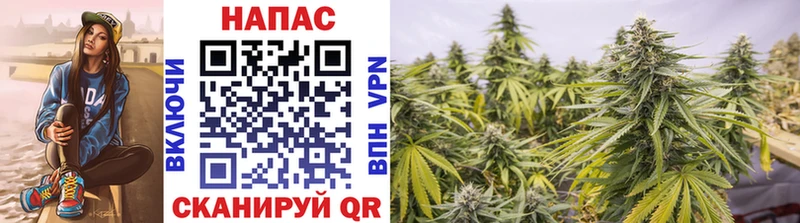 Бошки Шишки VHQ Жуков